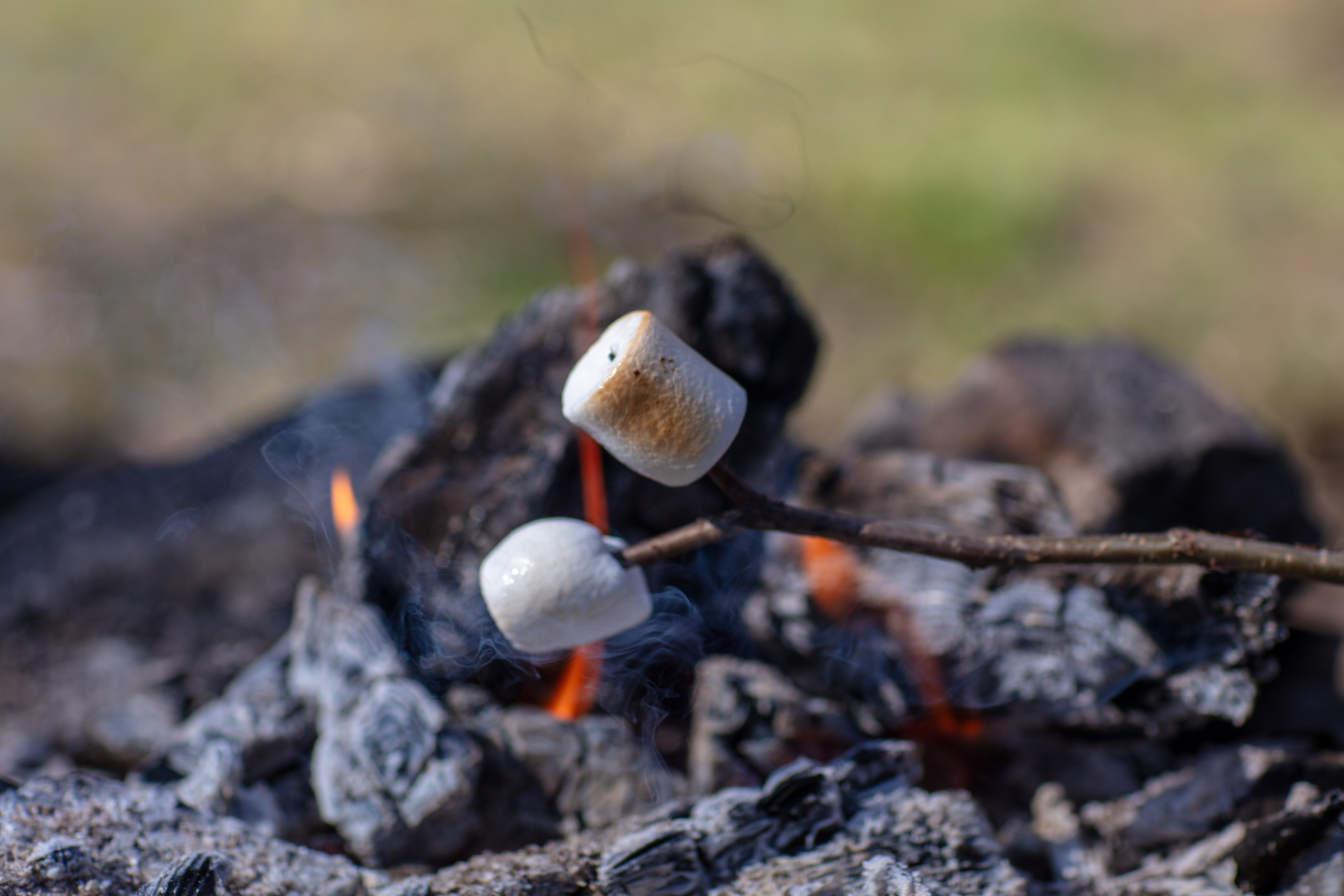 Eld med pinnar och marshmallows