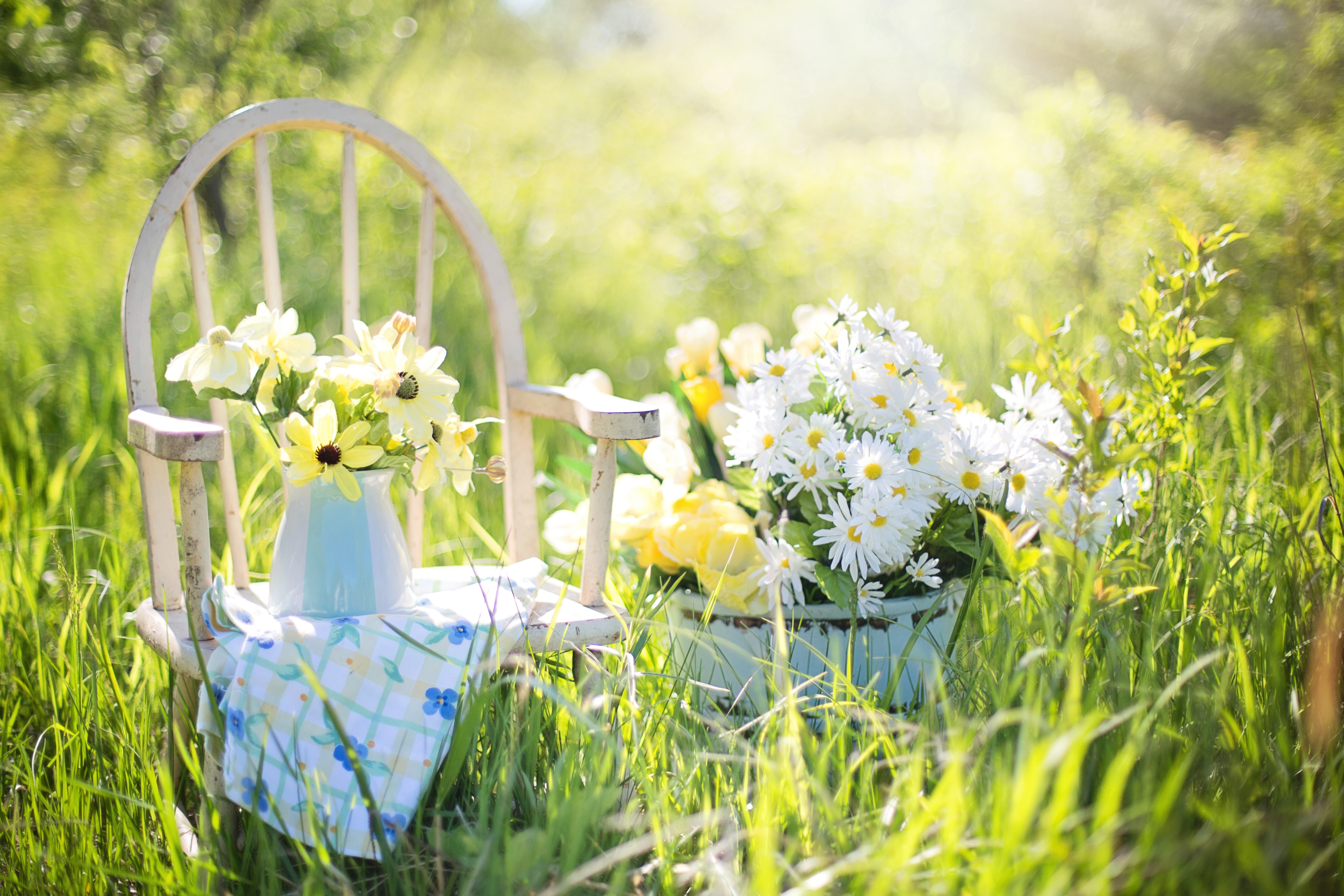 Sommarbild