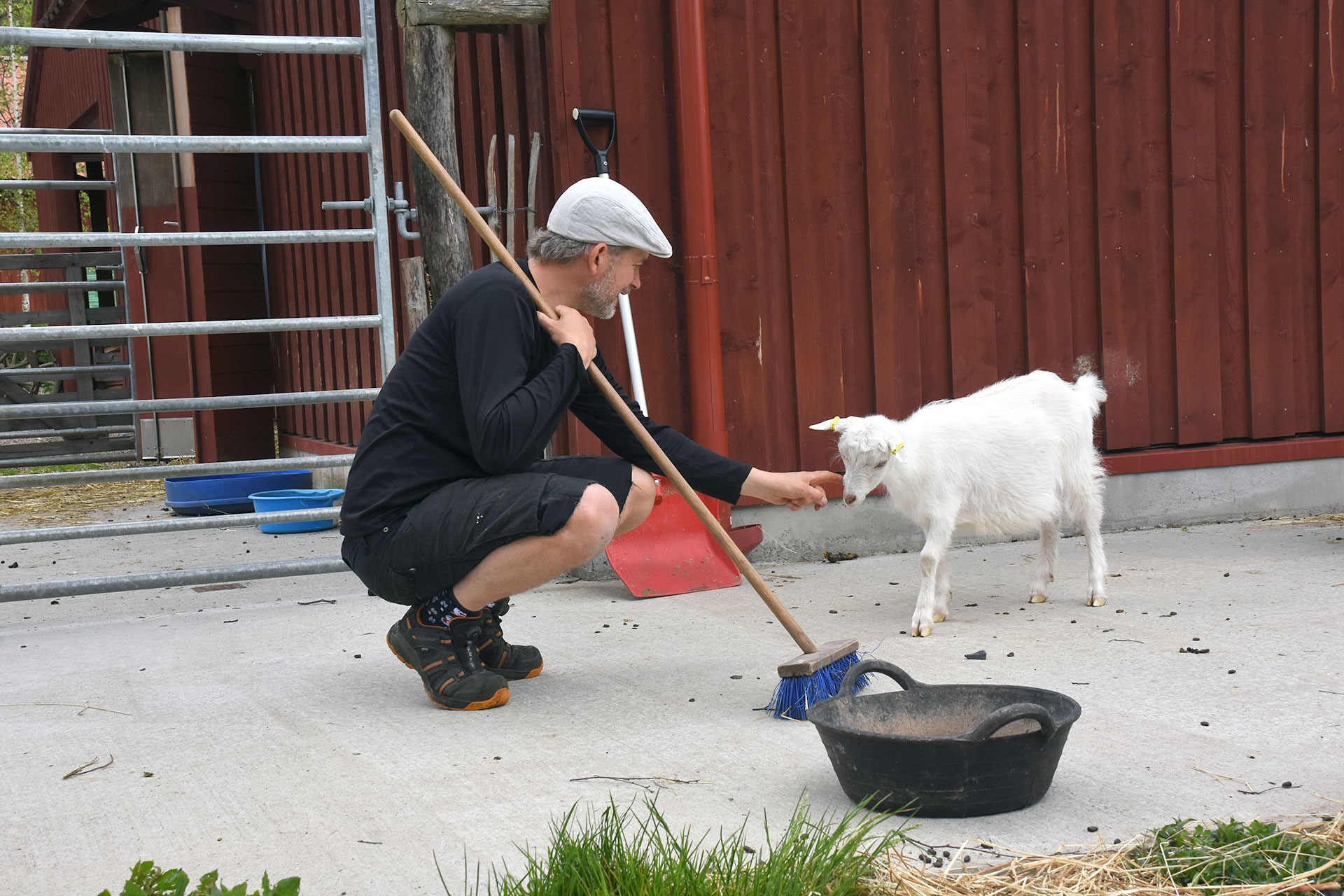 Man med en sopborste i handen klappar killing på Onsala församlings djurgård Noas Ark.