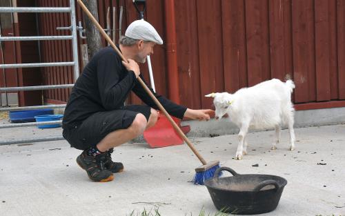 Man med en sopborste i handen klappar killing på Onsala församlings djurgård Noas Ark.