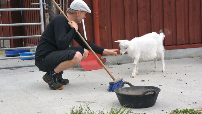 Man med en sopborste i handen klappar killing på Onsala församlings djurgård Noas Ark.