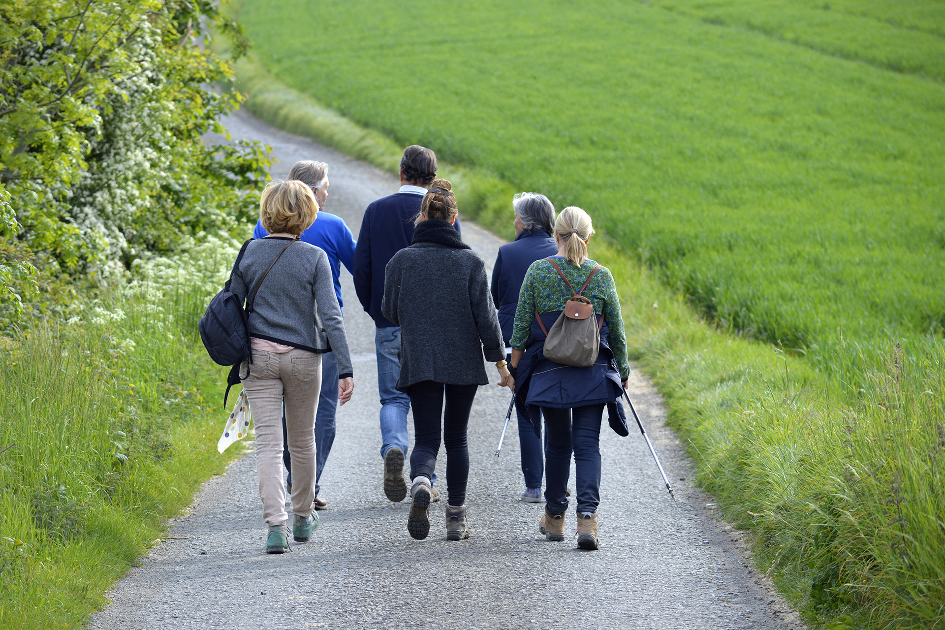 Sex personer promenerar på en väg.