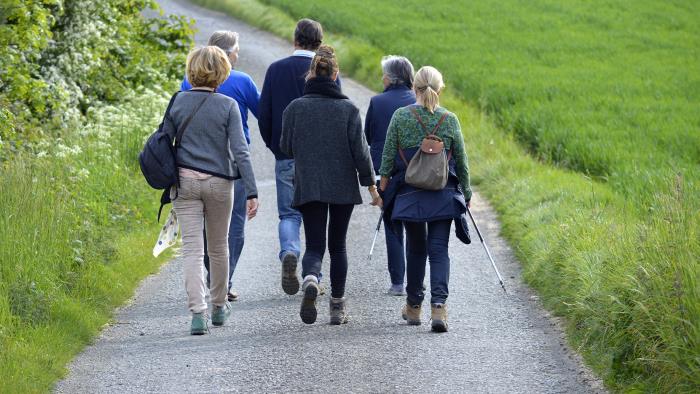 Sex personer promenerar på en väg.