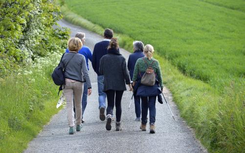 Sex personer promenerar på en väg.