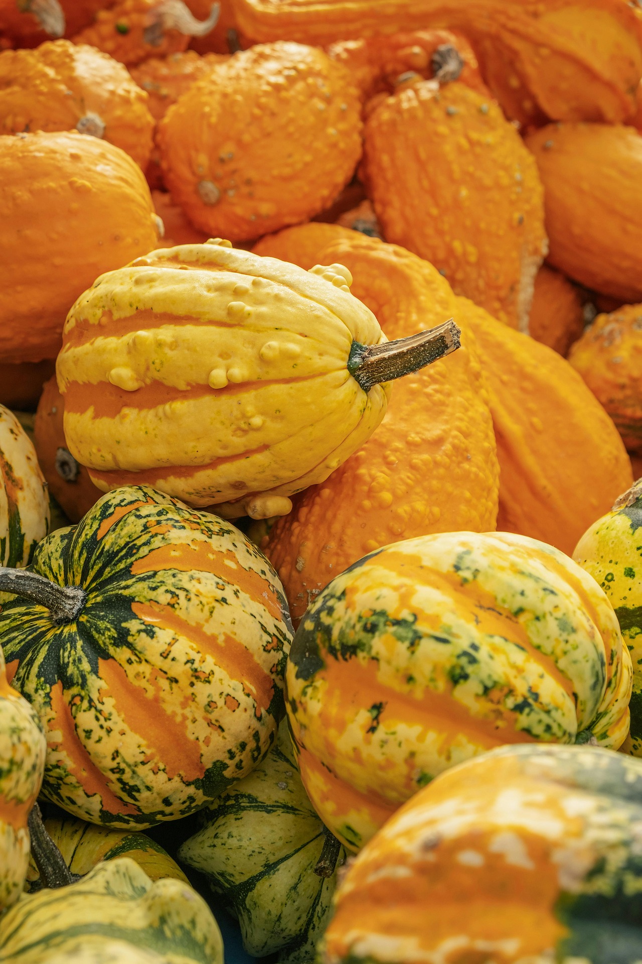 Pumpor