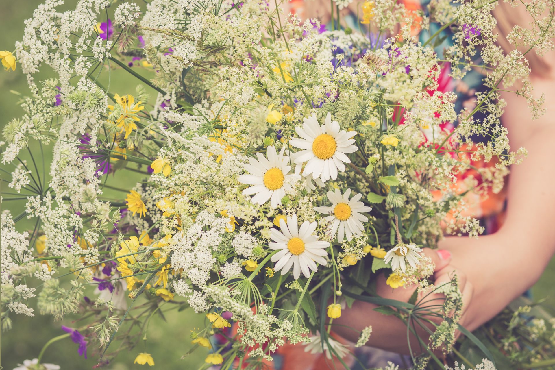 Ett fång med sommarängsblommor