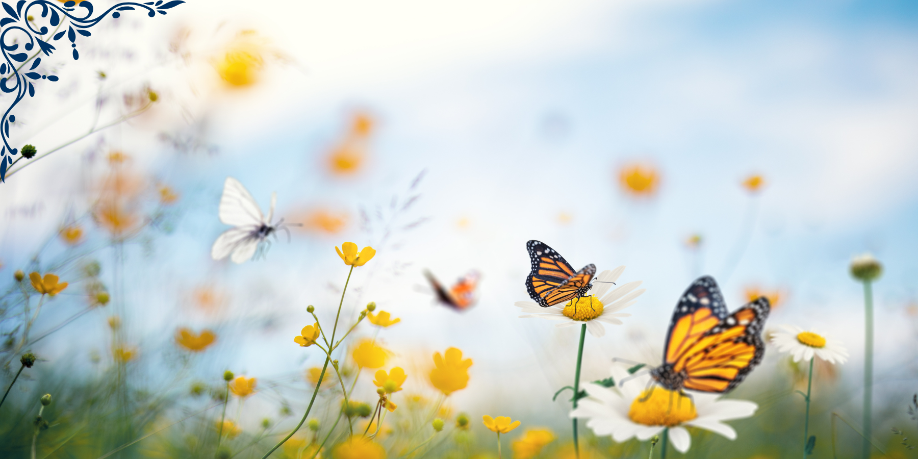Sommarblommor och fjärilar mot blå himmel