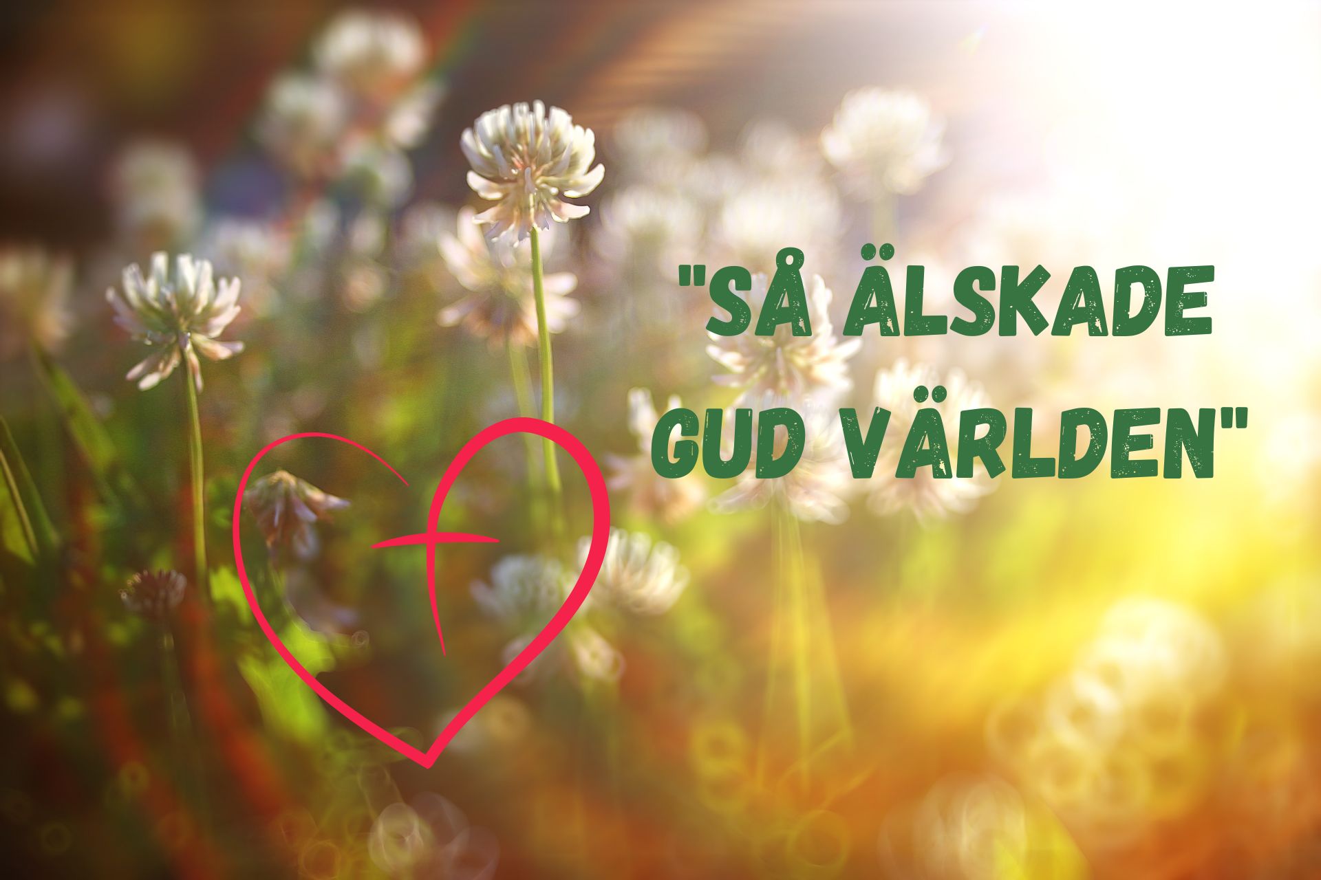 Klöveräng i kvällssol med text, hjärta och kors