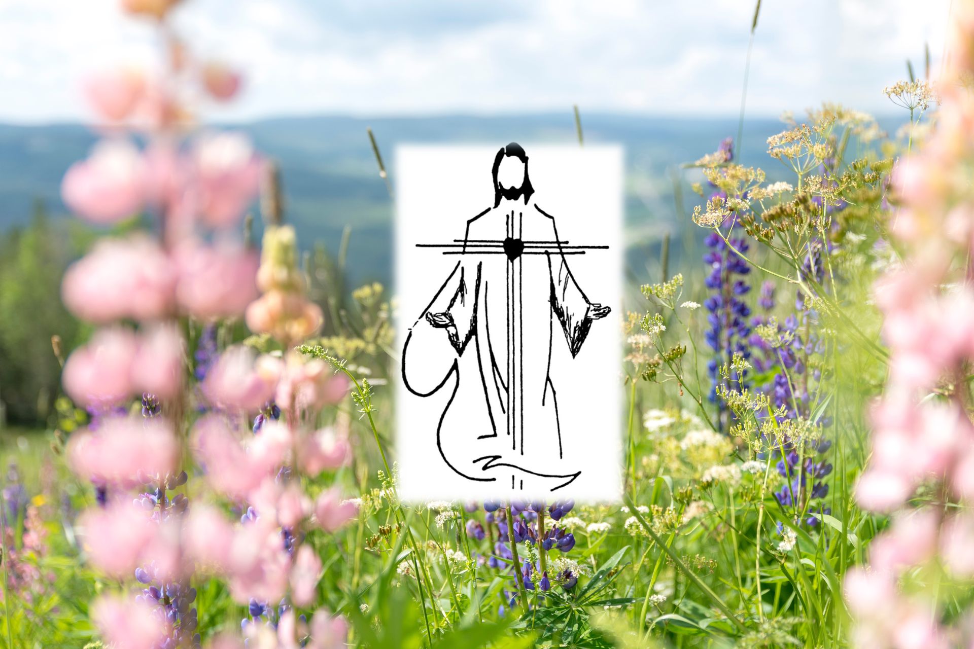 Lupiner och Jesus