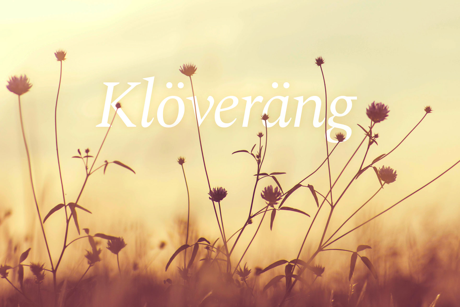 Klöveräng