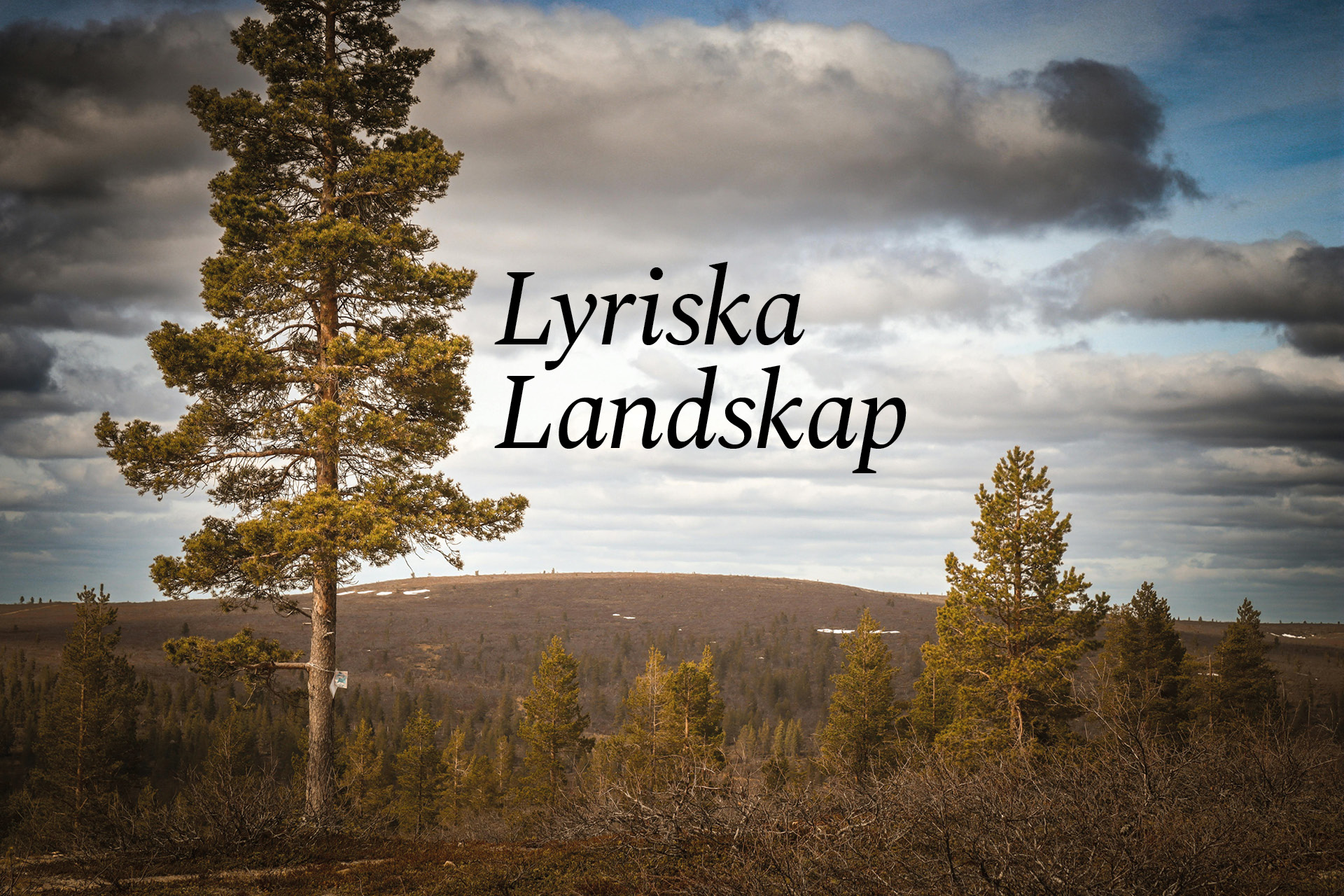 Lyriska landskap