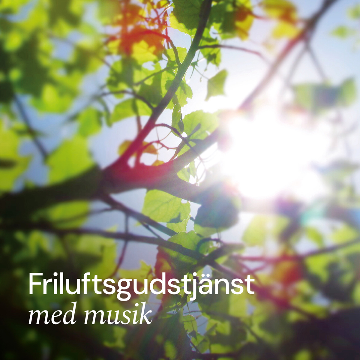 Friluftsgudstjänst med musik