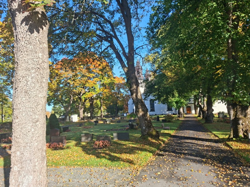 En massa höstlöv och en vit kyrka som syns i bakgrunden