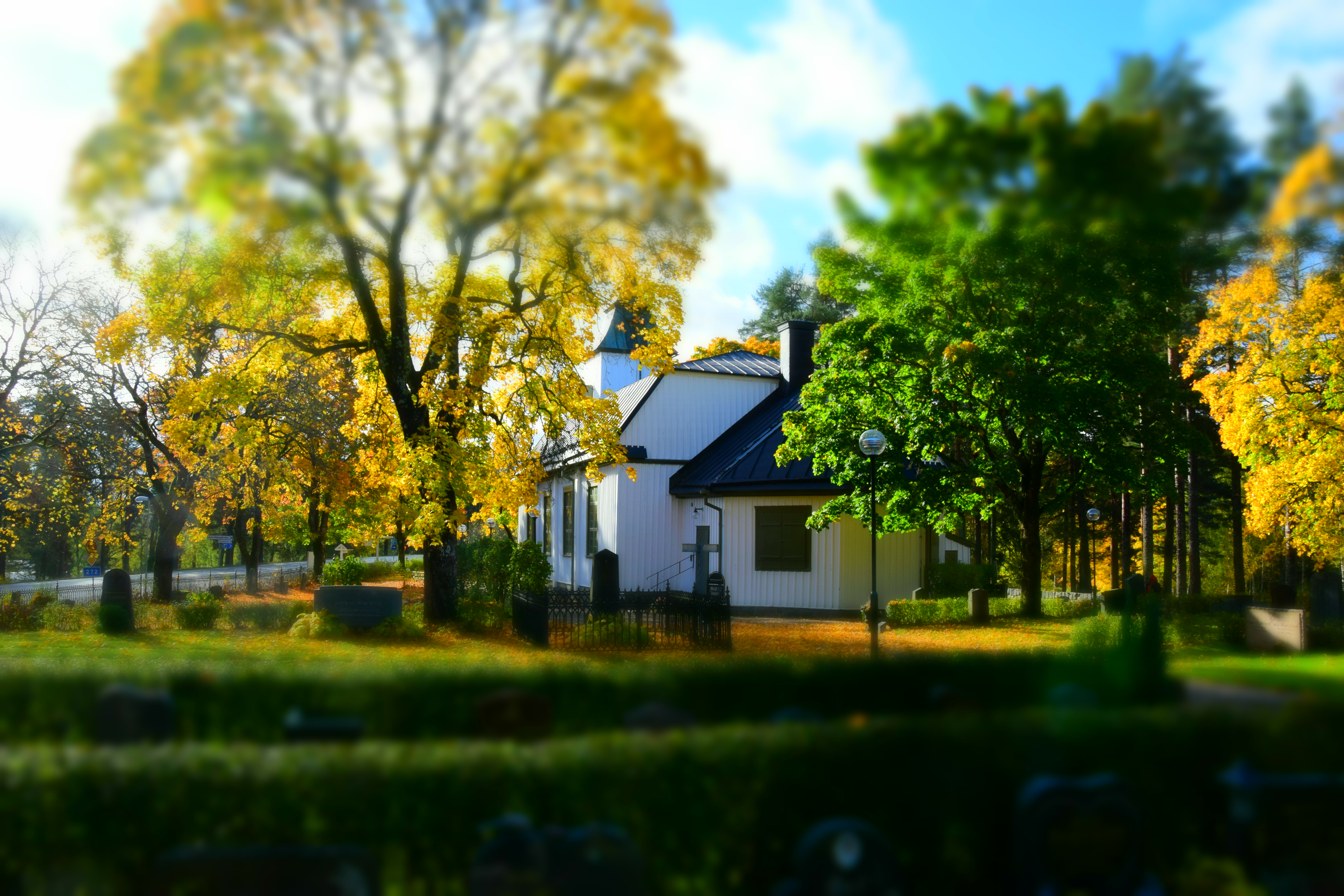 Höstfärger i träden på kyrkogården i Högbo.