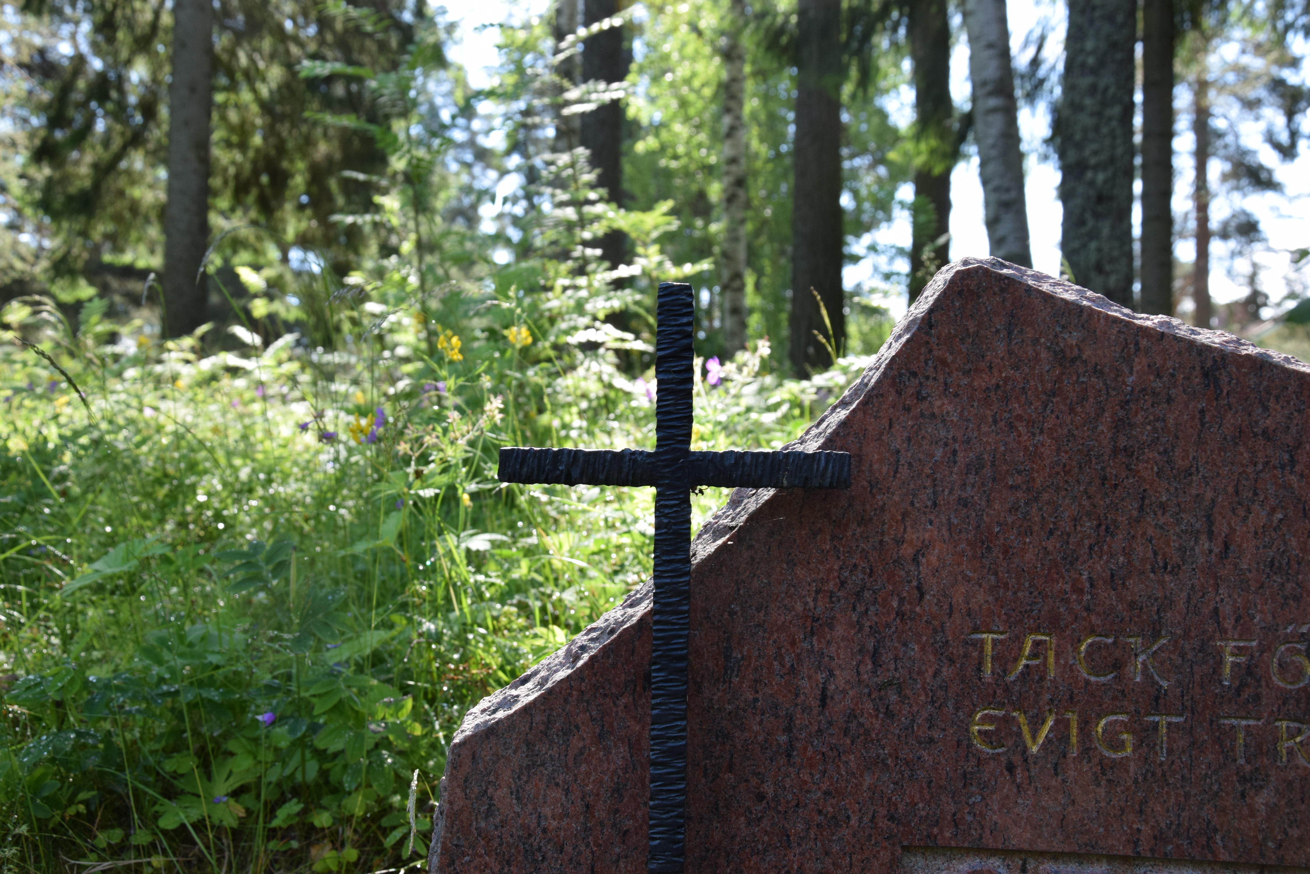 Lummig grönska på Naturkyrkogården i Sandvikens pastorat.