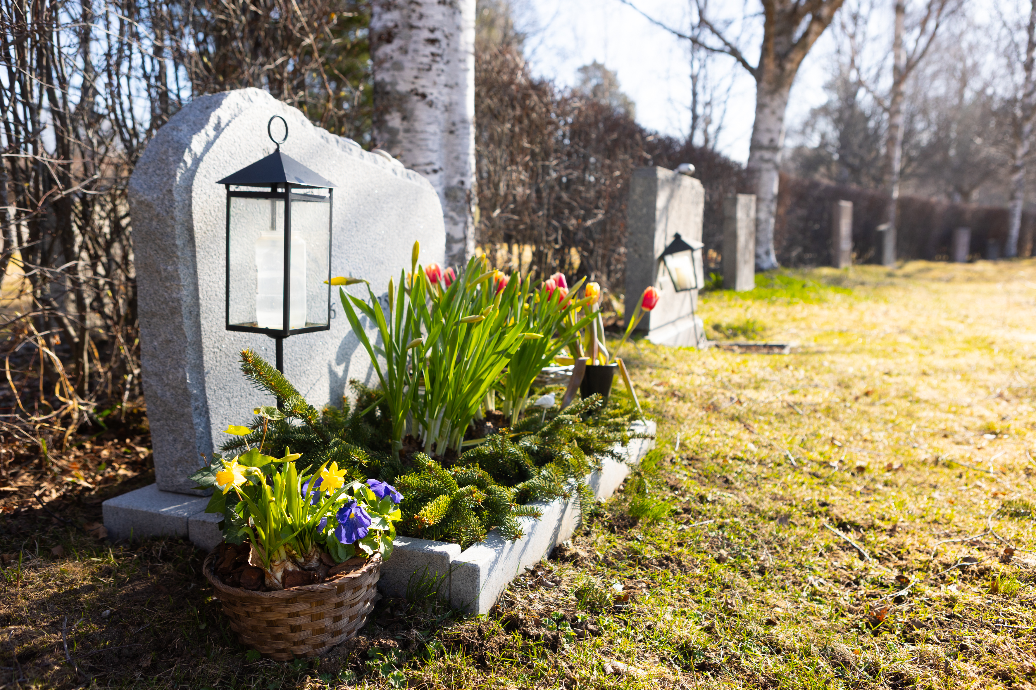 Gravplats med blommor