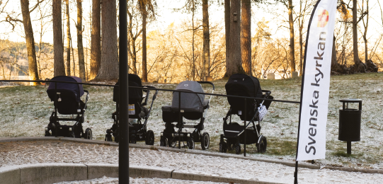Varje tisdag kl 9:30 träffas vi utanför Marielundskyrkan och promenerar tillsammans upp mot Lillänge och rundan runt Lillsjön. Häng med!
