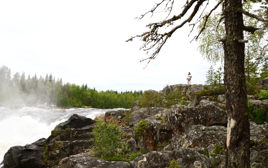 Naturen i Överkalix sommar och fors