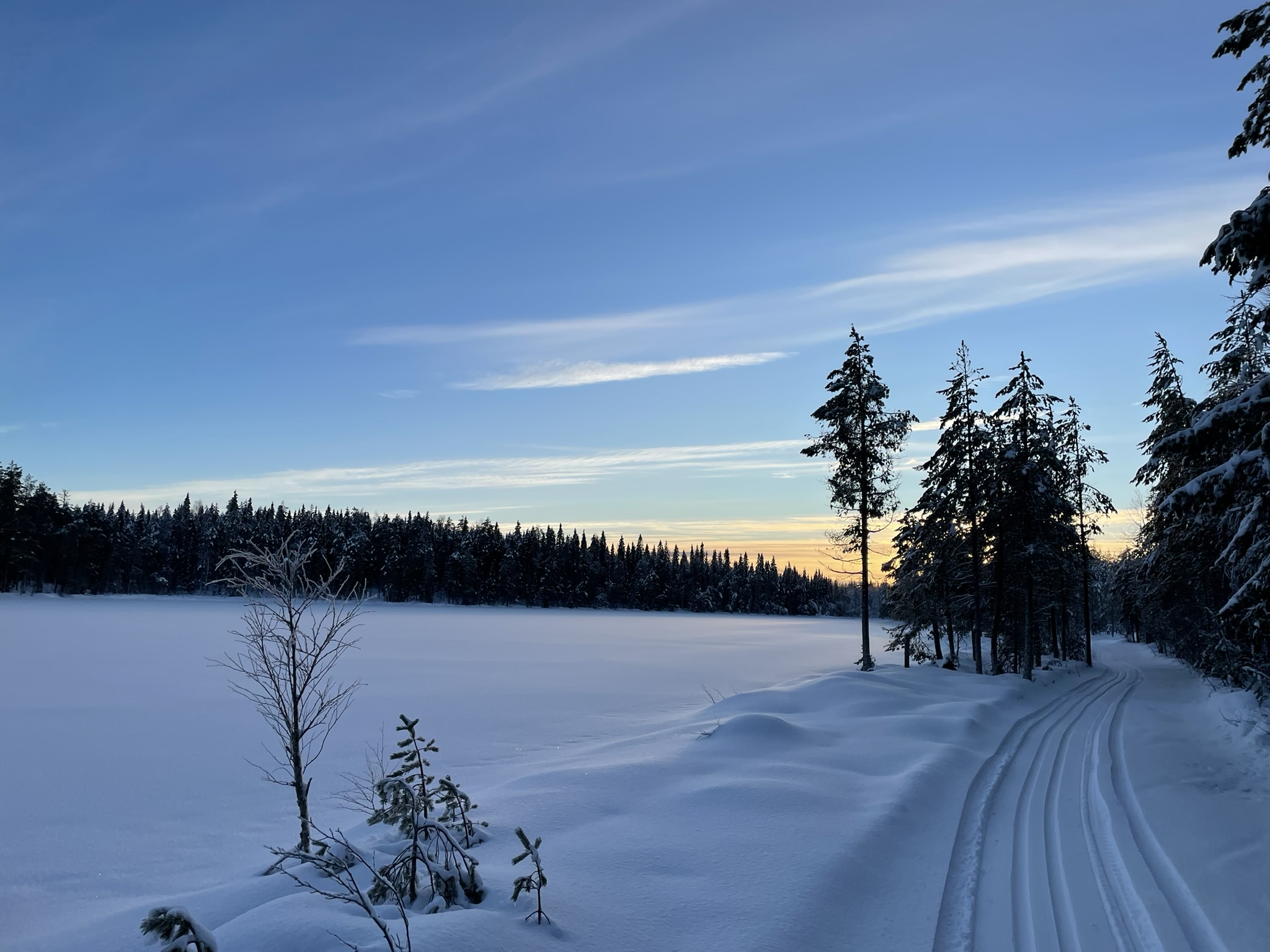 Ett snötäckt landskap med solljus i horisonten
