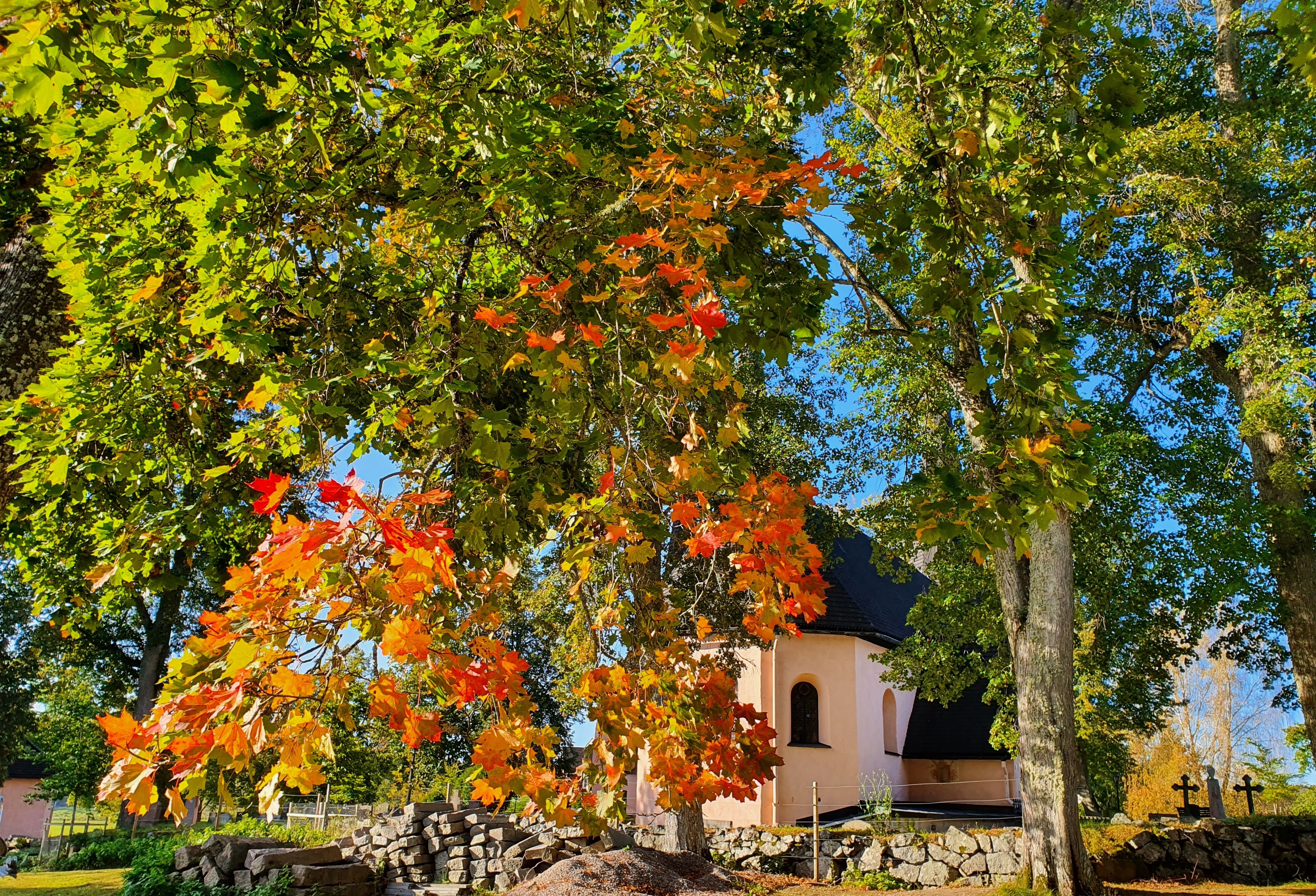 Ripsa kyrka i höstskrud