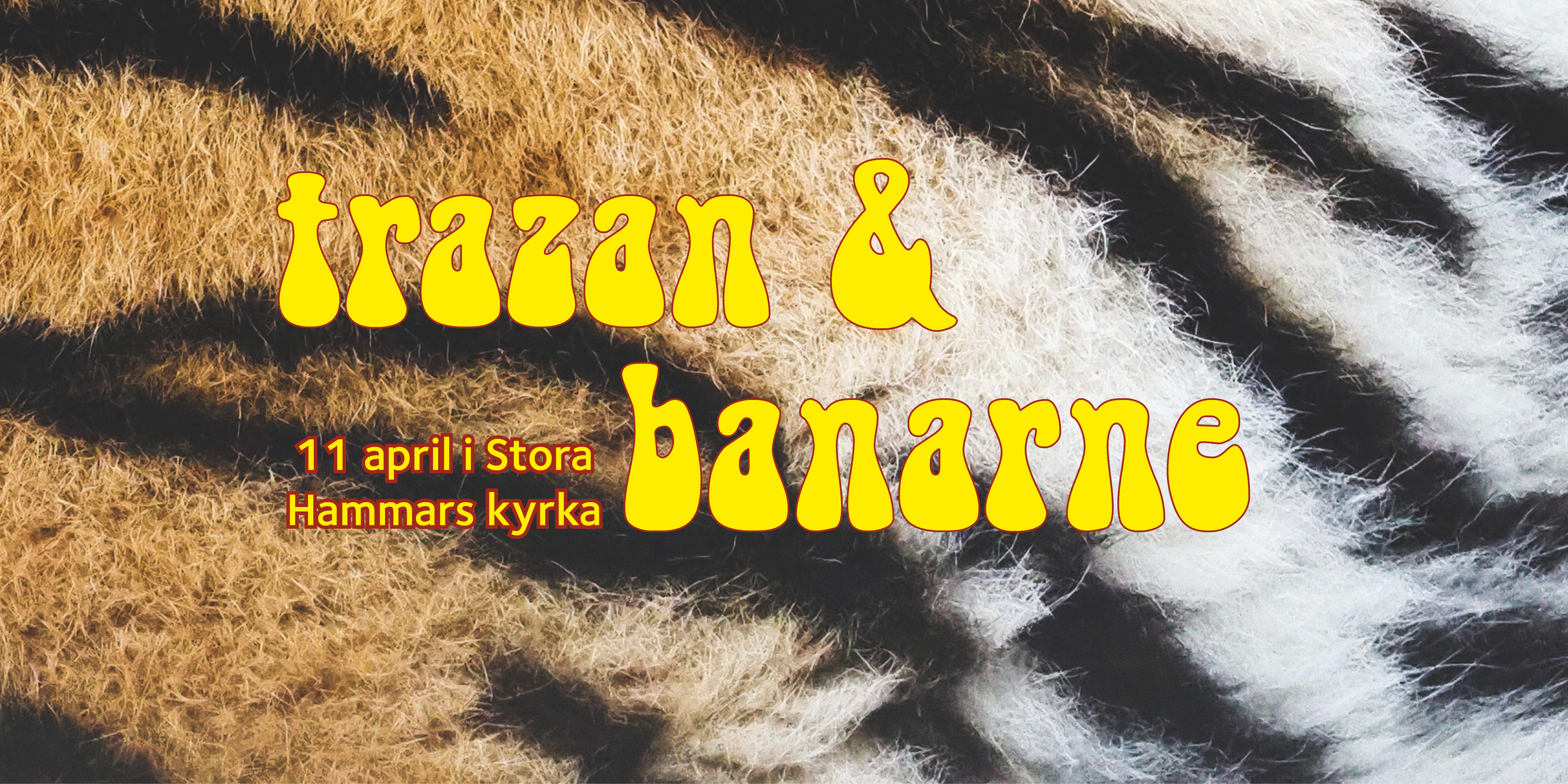 Tigerrandig bakgrund med information om barnvagnskonsert Trazan och Banarne den 11 april.