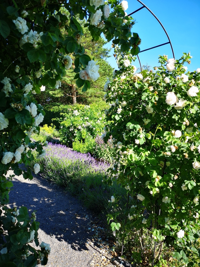 Sommarblom i bibliska
