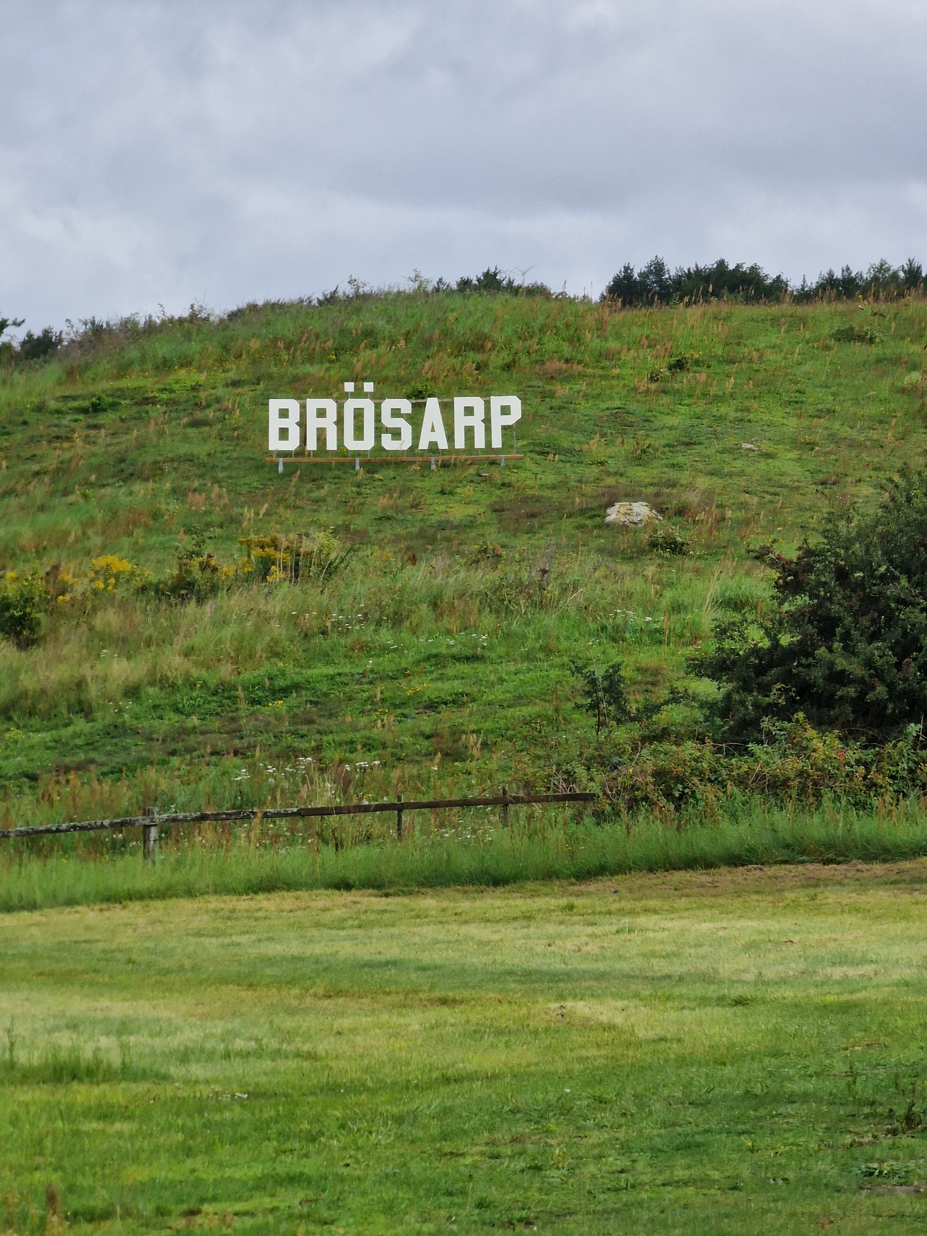 Grön sluttning i Brösarp med stora vita bokstäver som bildar ortsnamnet "BRÖSARP". Omgiven av gräs och buskvegetation under en molnig himmel.