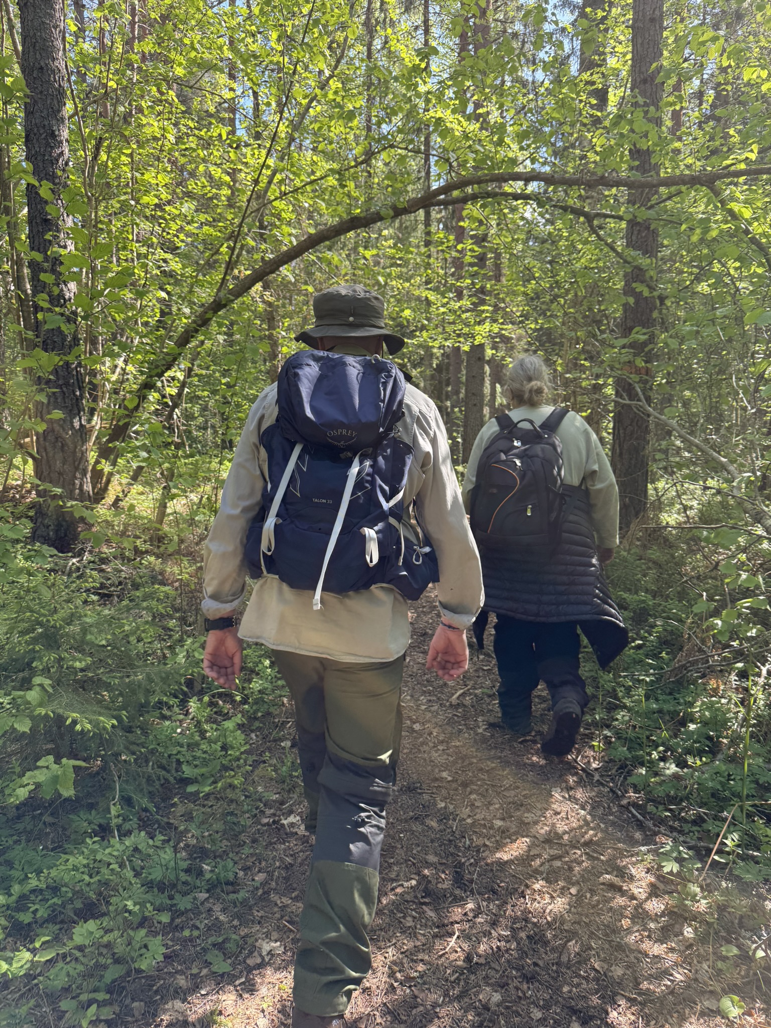 Två personer med ryggsäck går i skogen. 