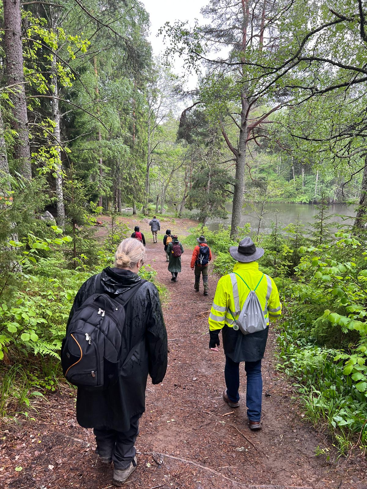 Ryggar på flera personer som går i skogen.