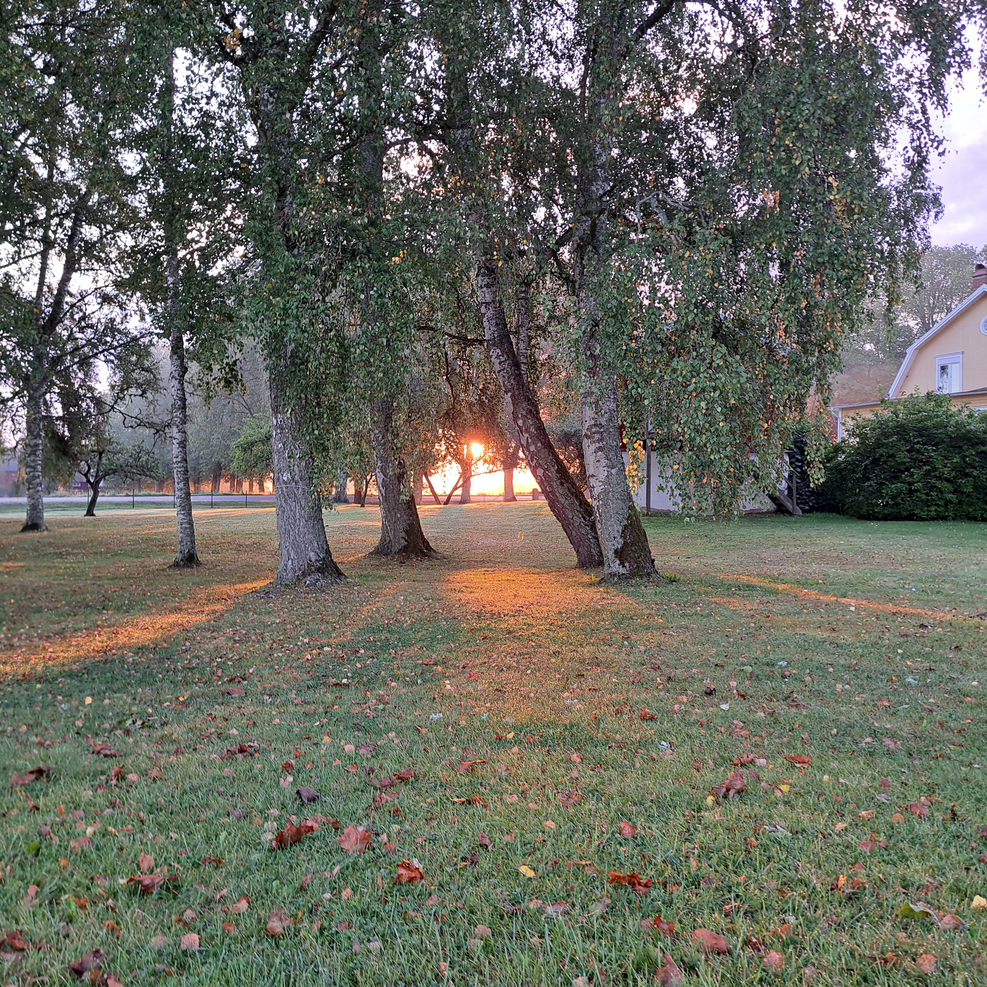Stämningsfullt