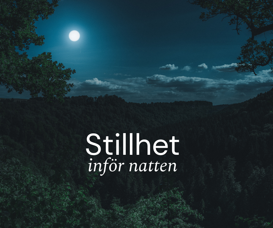 stillhet