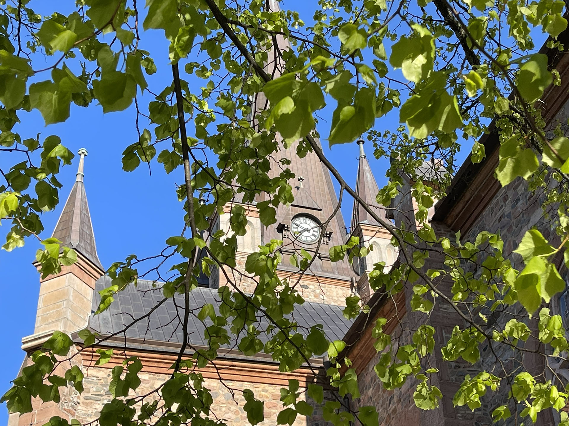 Kyrktorn tittar fram mellan trädgrenar.