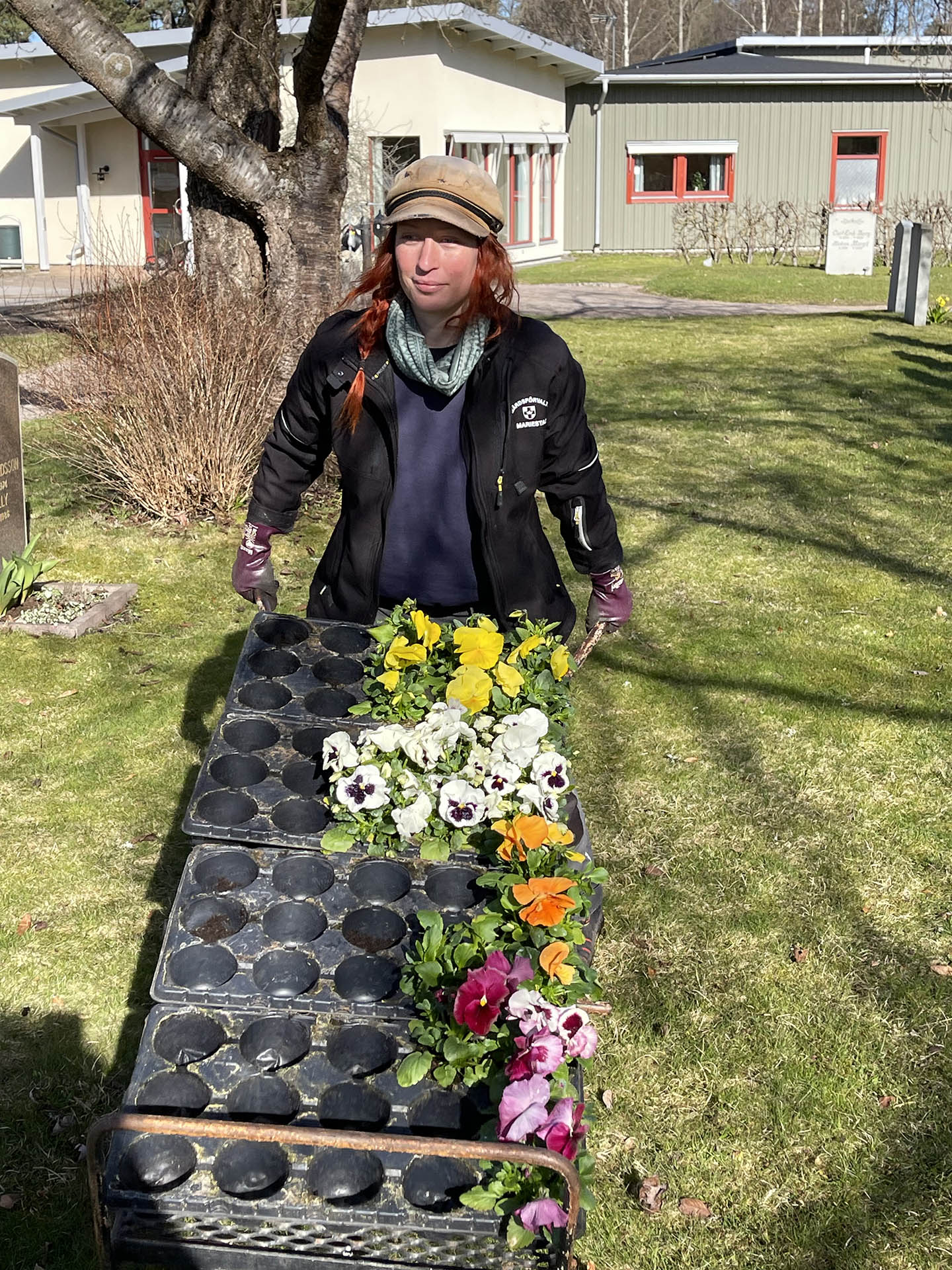 Kvinna skjuter på skottkärra med blommor i olika färger.