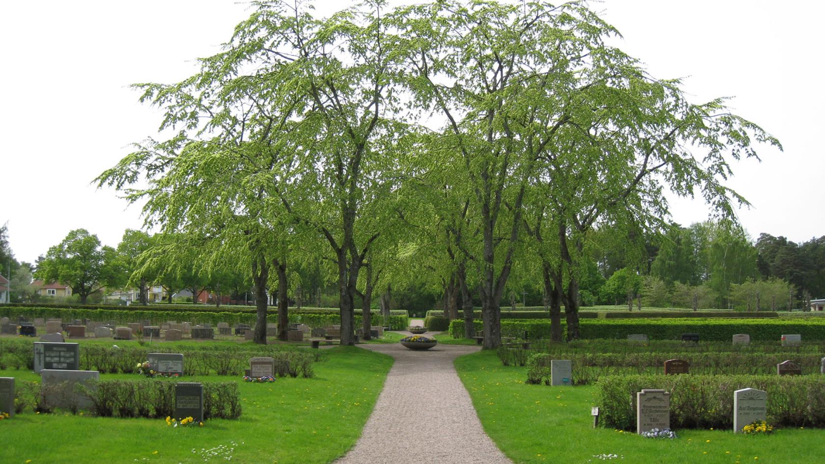 Grusgångar och gröna gräsmattor på Östra begravningsplatsen.