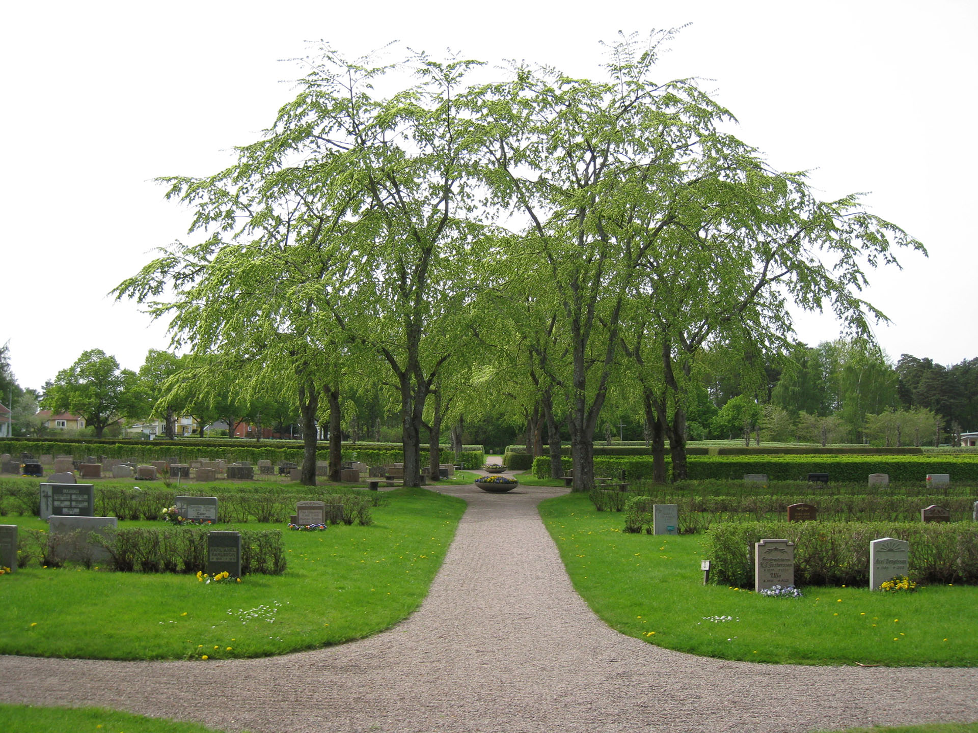 Grusgångar och gröna gräsmattor på Östra begravningsplatsen.