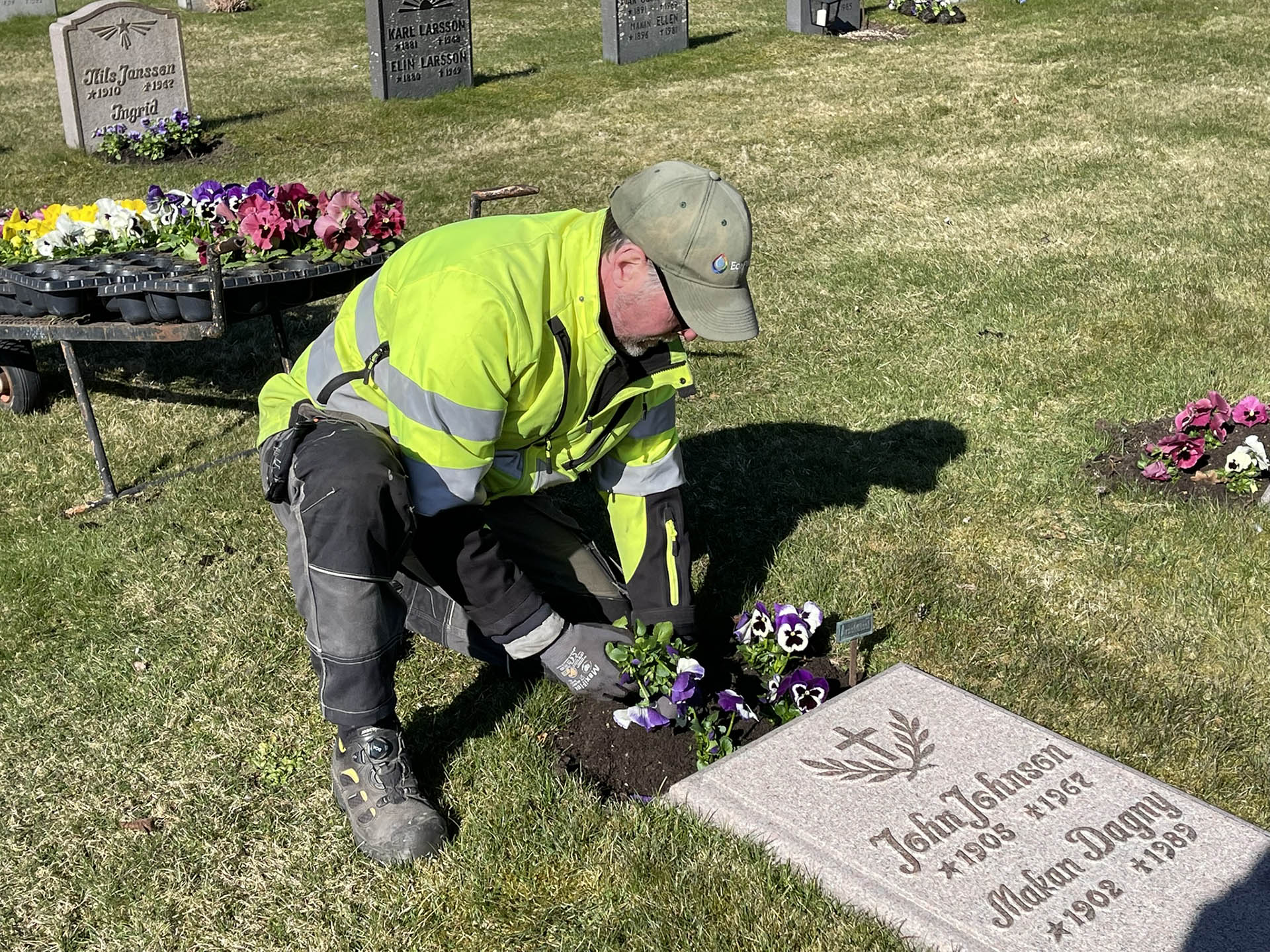 Man ligger på knä framför en gravsten och planterar färgglada blommor.