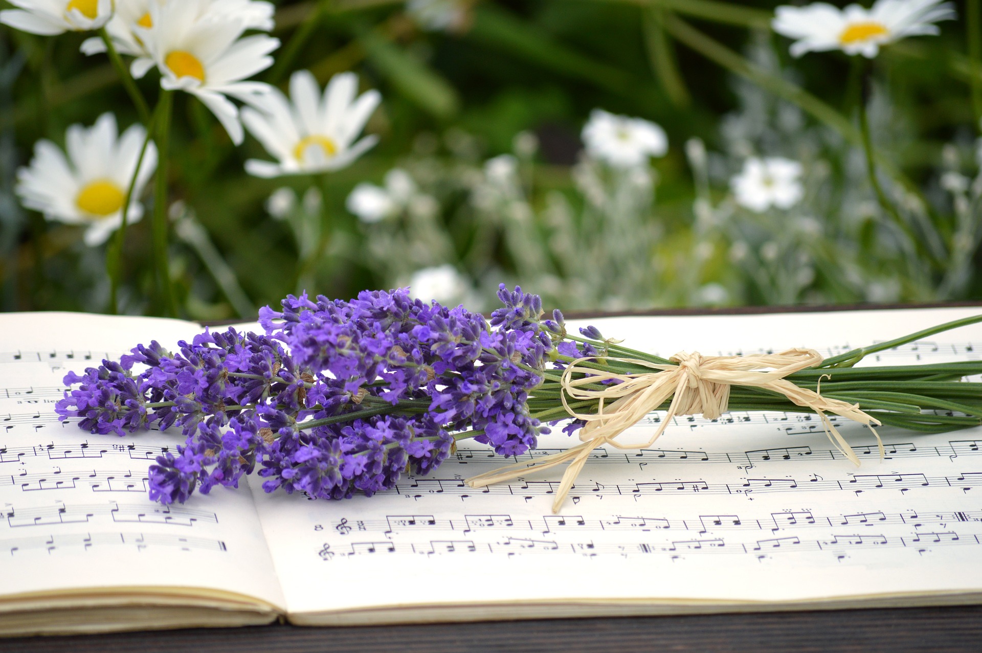 En liten bukett med lila sommarblommor som ligger ovanpå en uppslagen bok med noter.