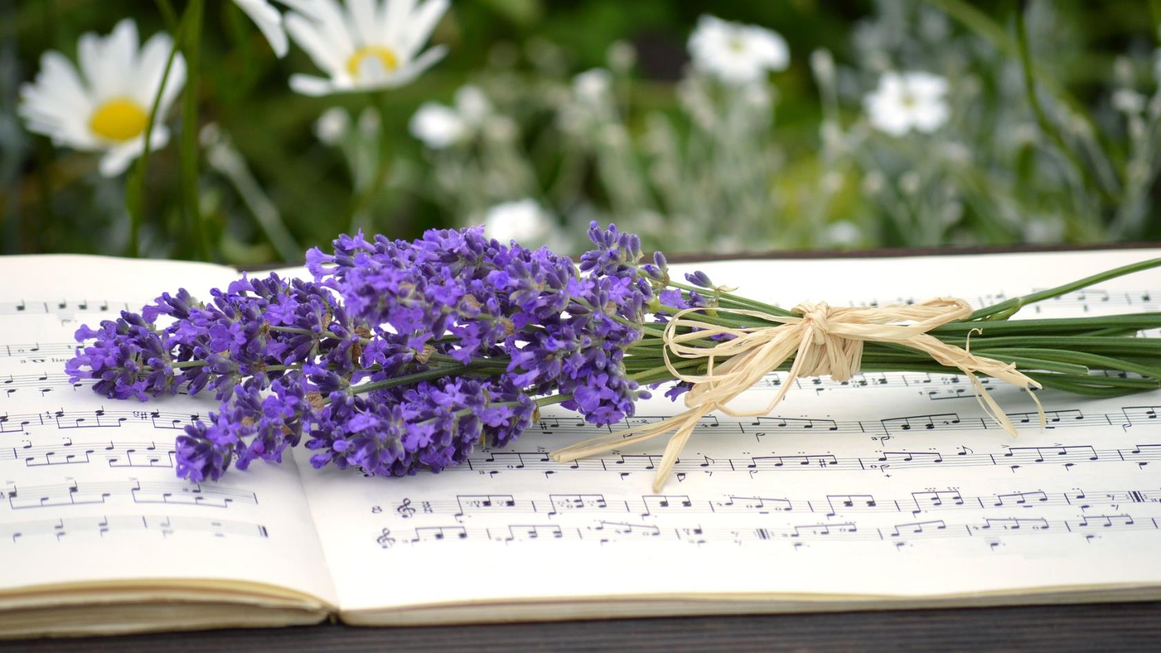 En liten bukett med lila sommarblommor som ligger ovanpå en uppslagen bok med noter.
