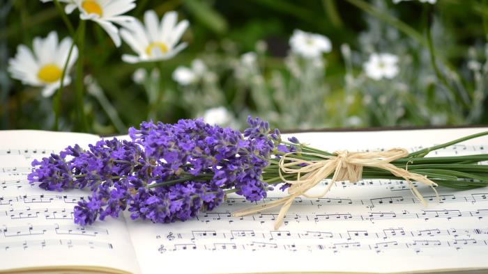 En liten bukett med lila sommarblommor som ligger ovanpå en uppslagen bok med noter.