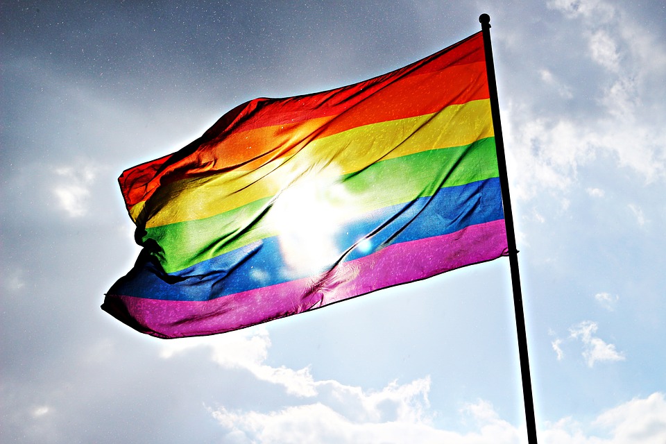 Bilden visar en regnbågsflagga