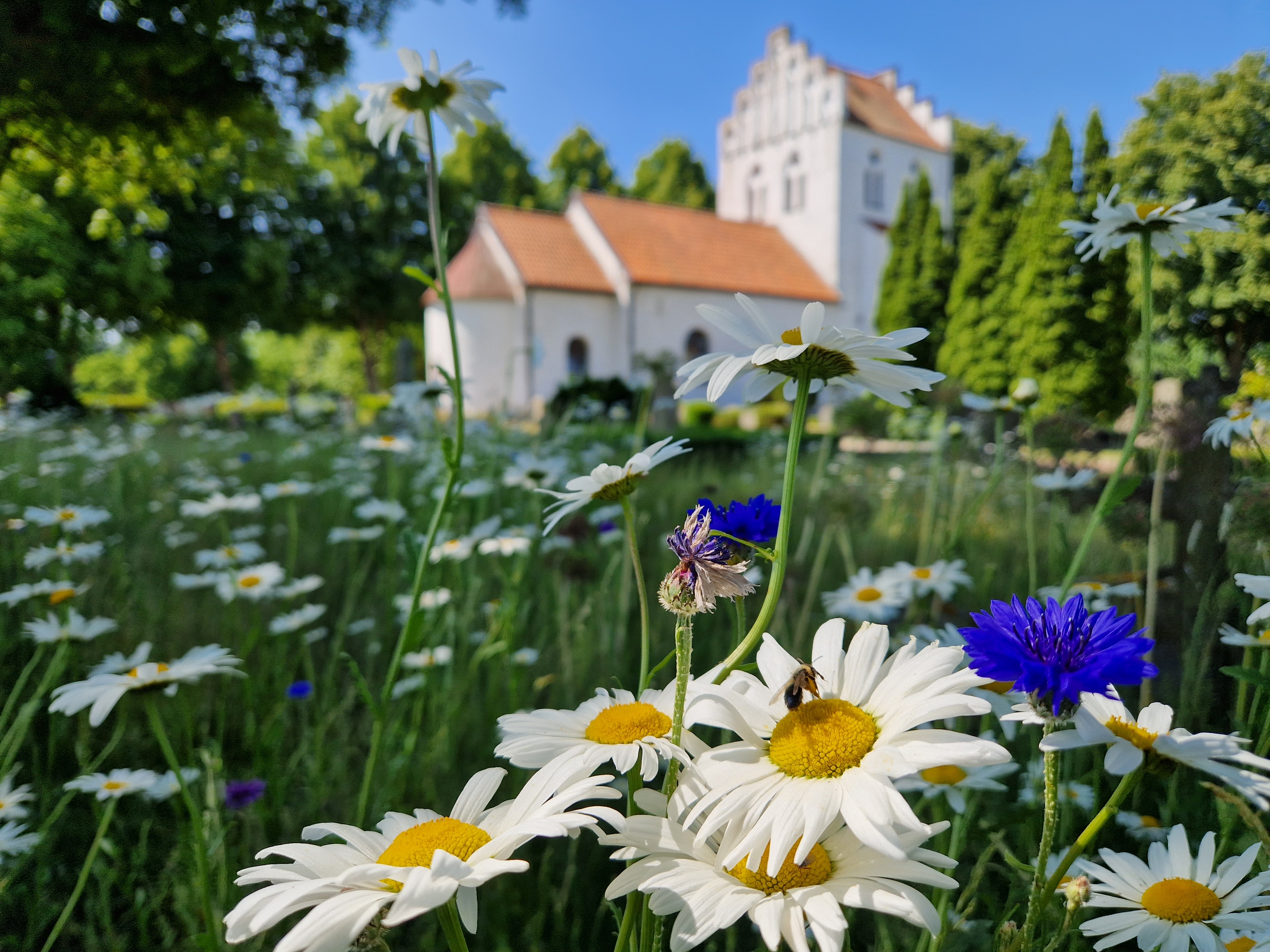Risekatslösa kyrka