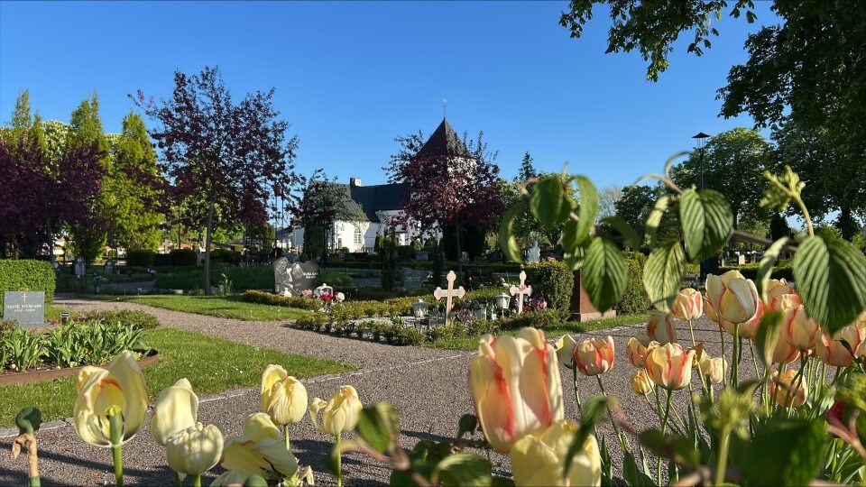 Kyrkogård med Bjuvs kyrka i bakgrunden