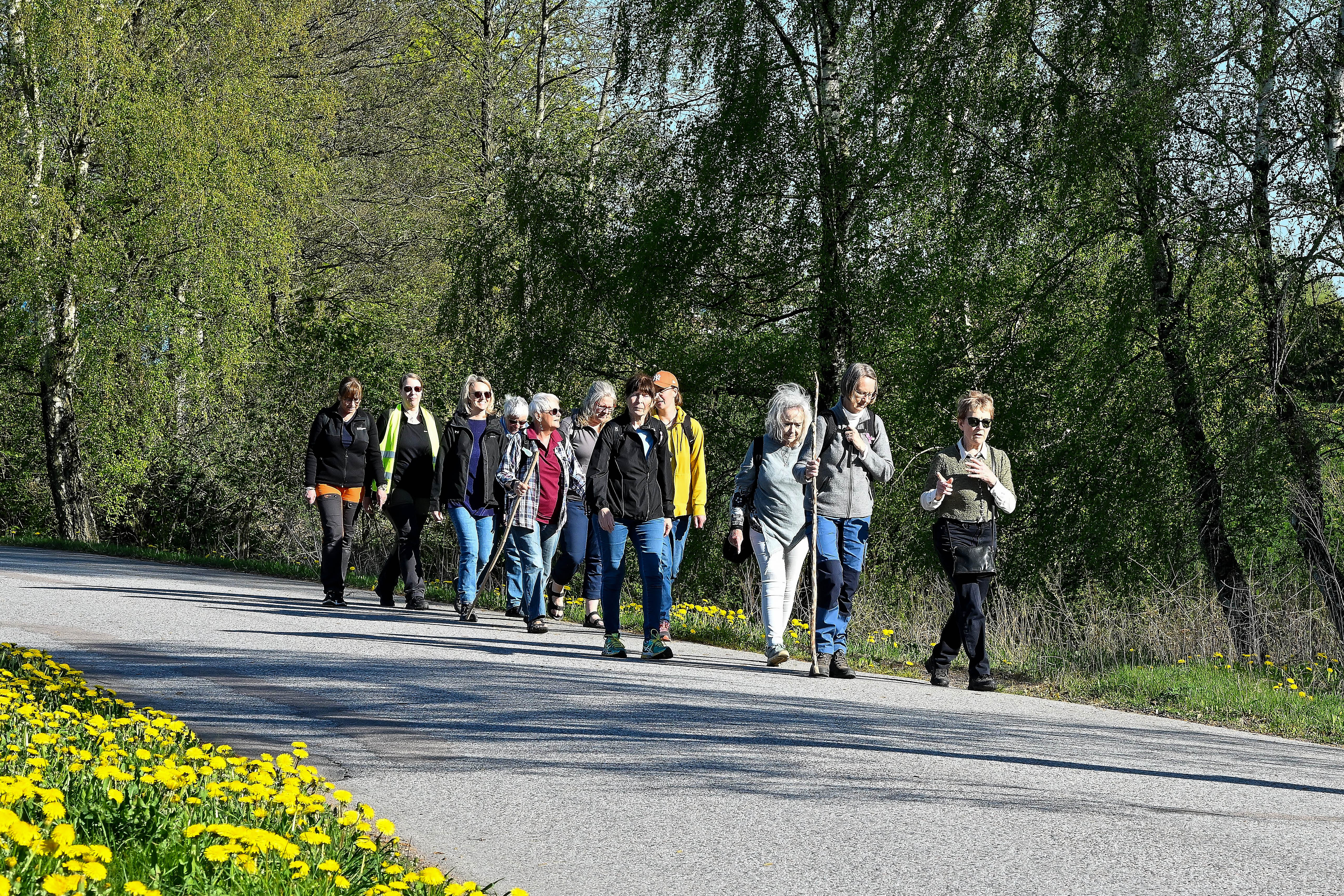 Pilgrimsvandring allmän