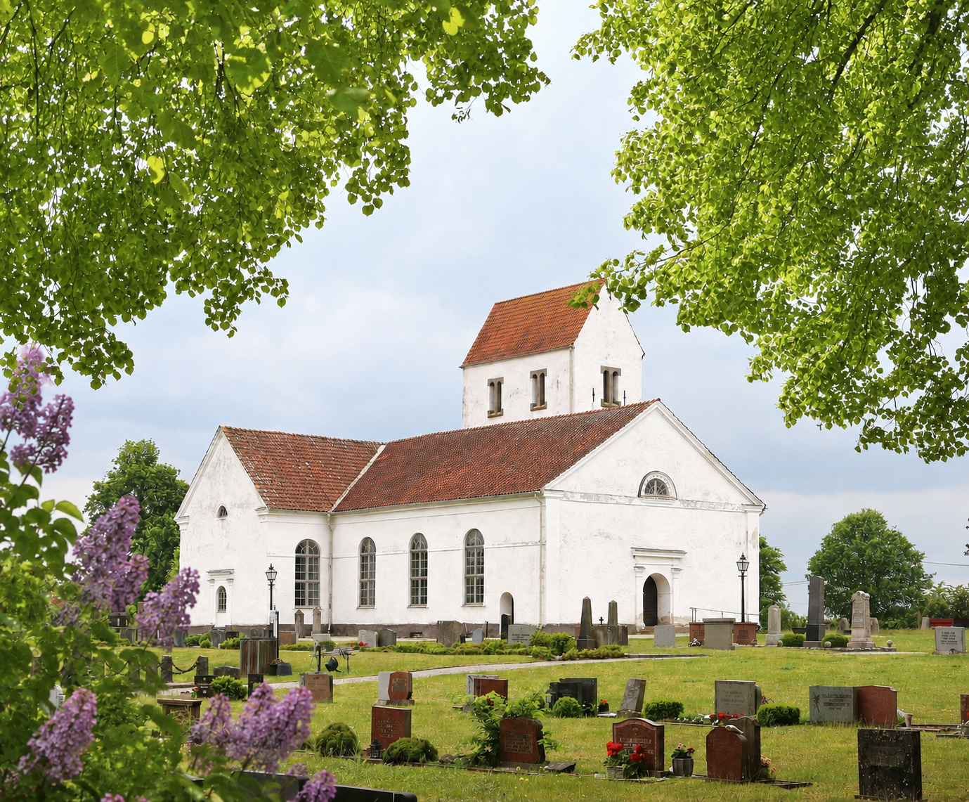 En vit kyrka med syren i förgrunden