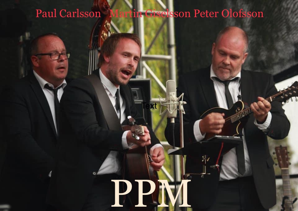 PPM
