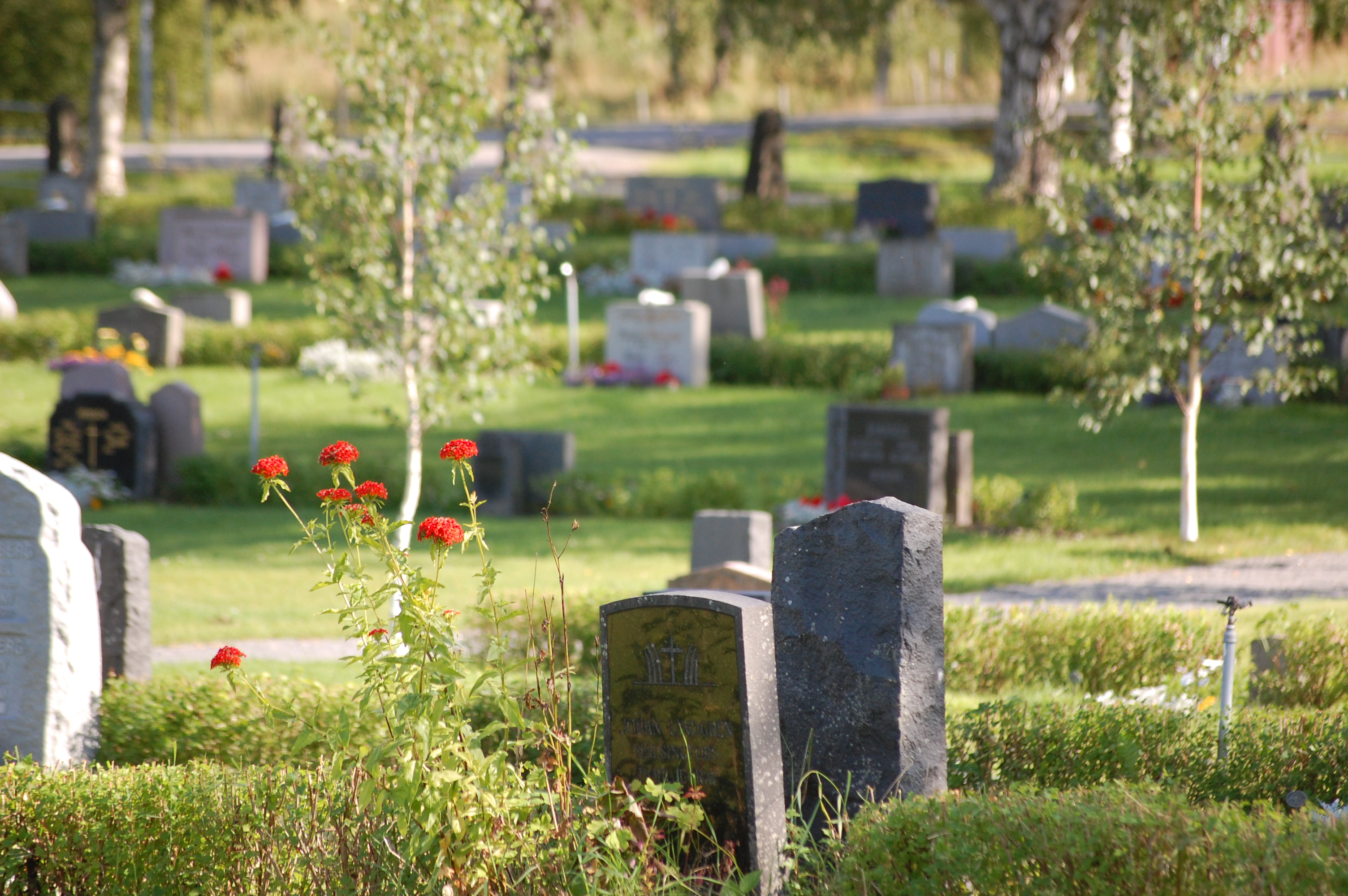Gravrättsinnehavare sökes