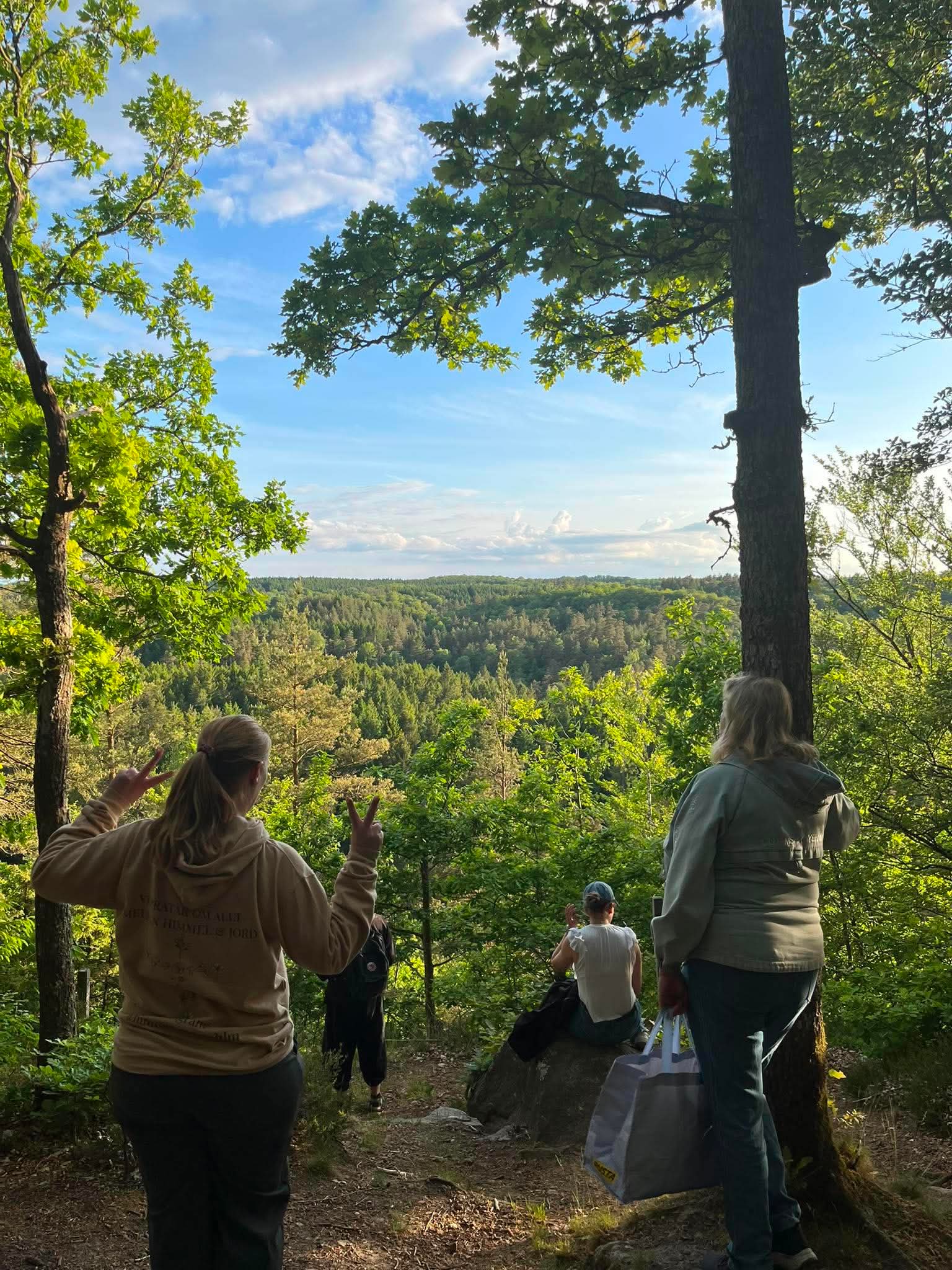 Utsikt över blå himmel med vita molntussar och en dalgång med blandad löv- och barrskog. I förgrunden syns några kvinnor som tittar ut över skogen.