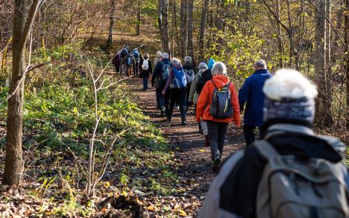 En lång rad med människor klädda i bekväma vandringskläder på pilgrimstur i skogen.