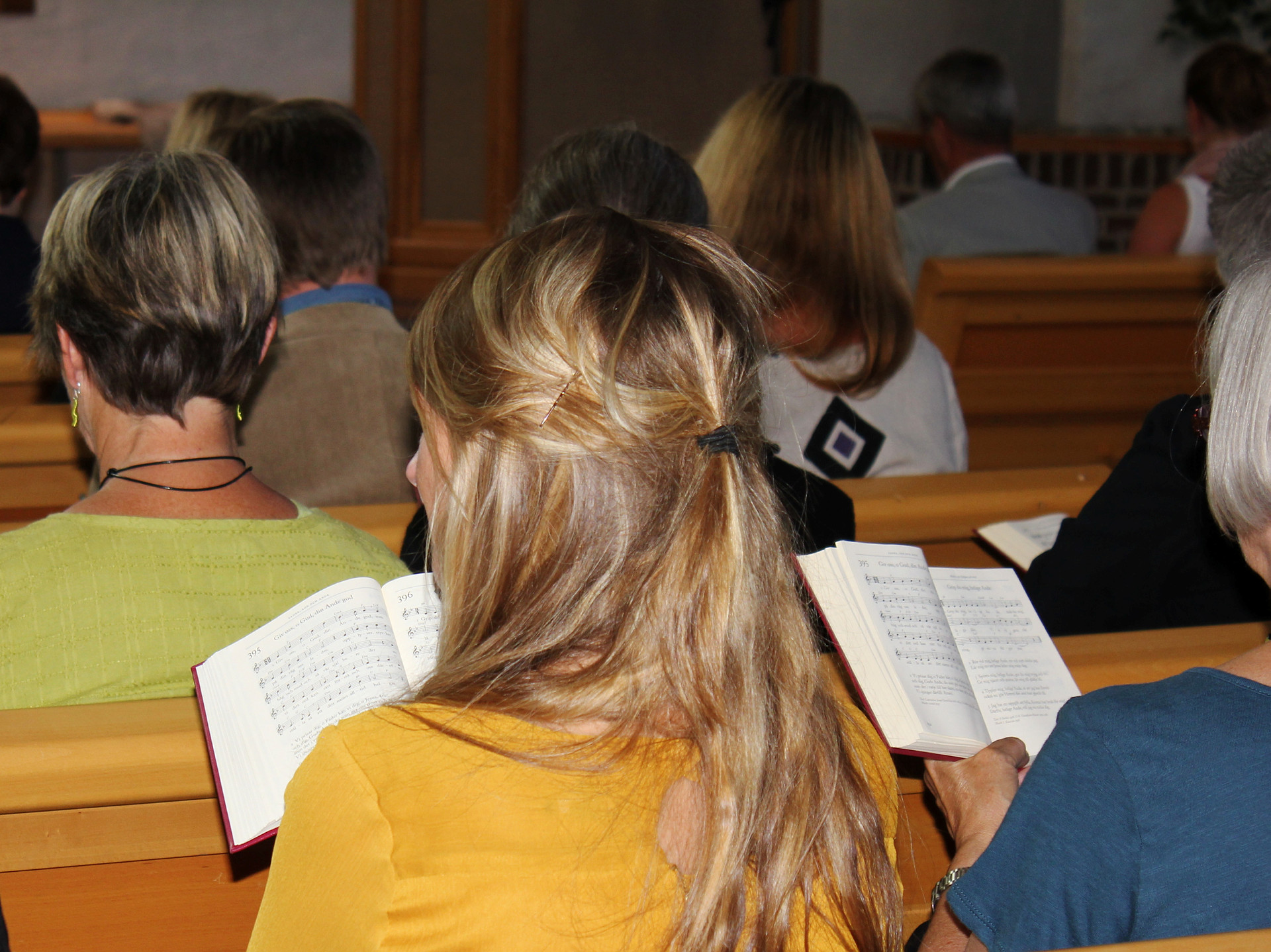 Människor, fotograferade bakifrån, sitter i kyrkbänkar och sjunger psalmer