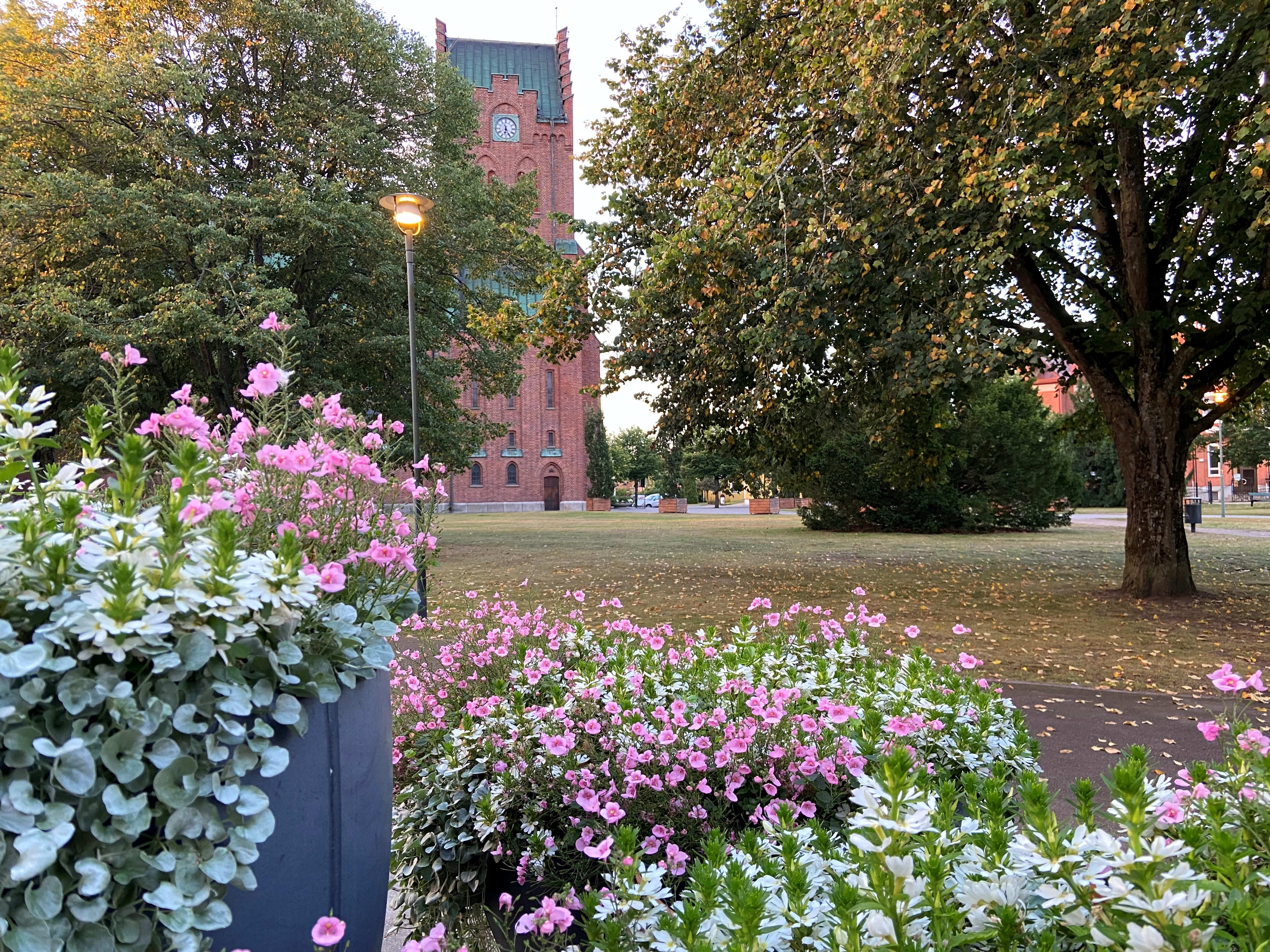 Hässleholms röda tegelkyrka skymtar bakom höga lövträd som börjat anta höstfärger.